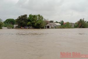 UNICEF apoya a los ciudadanos afectados por las inundaciones en la región central de Vietnam