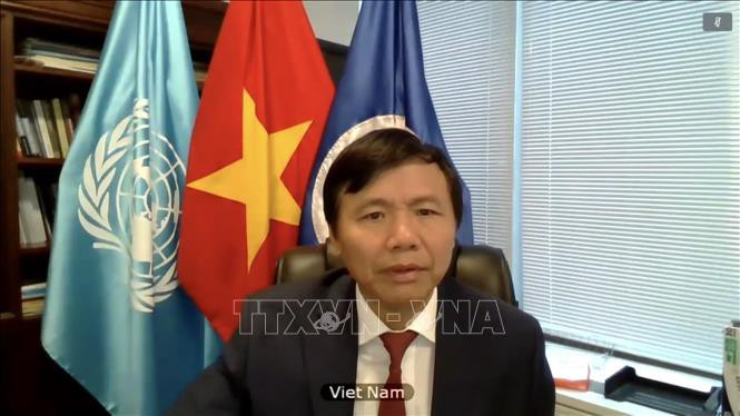 El embajador Dang Dinh Quy, jefe de la misión permanente de Vietnam ante la ONU (Foto: VNA)