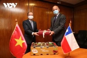 Vietnam y Chile impulsan la cooperación agrícola