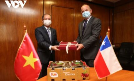 Vietnam y Chile impulsan la cooperación agrícola