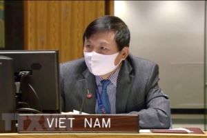 Vietnam aplaude las iniciativas de cooperación internacional en favor de la paz en Medio Oriente