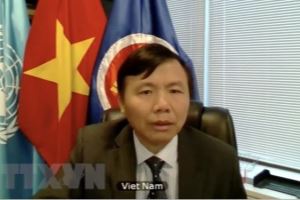 Vietnam apoya el proceso de paz liderado por Afganistán