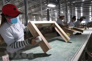 Moody's Analytics: Vietnam y China serían dos economías con mayor ritmo de crecimiento en el mundo en 2021