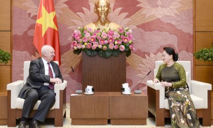 La presidenta de AN recibe al embajador ruso saliente en Vietnam