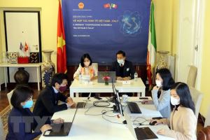 Foro en línea sobre la cooperación económica entre Vietnam e Italia