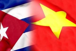 Evento destinado a fortalecer la solidaridad entre jóvenes vietnamitas y cubanos