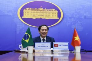 Celebrada la VII Consulta Política Vietnam - Brasil