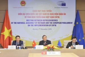 Reunión virtual entre el Parlamento vietnamita y el Parlamento europeo