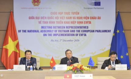 Reunión virtual entre el Parlamento vietnamita y el Parlamento europeo