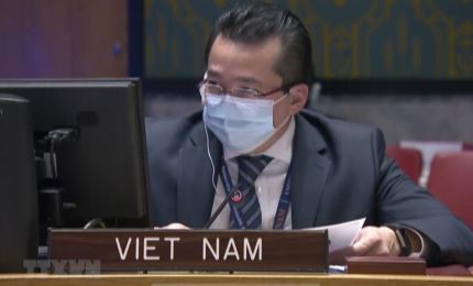 Vietnam preocupado por la escalada de violencia en República Democrática del Congo