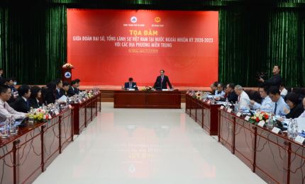 Da Nang busca ayuda de representaciones diplomáticas de Vietnam en ultramar para el desarrollo