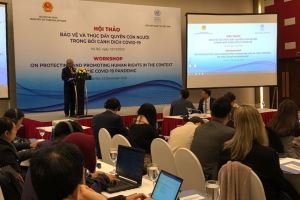 Vietnam persevera en la protección de los derechos humanos en el contexto del covid-19