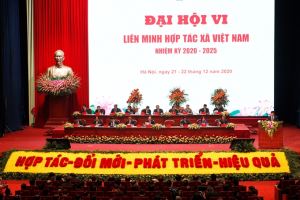 Vietnam considera prioritario el desarrollo de la economía colectiva