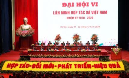 Vietnam considera prioritario el desarrollo de la economía colectiva