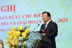 Vietnam por lograr 20 mil millones de dólares de la exportación de productos silvícolas