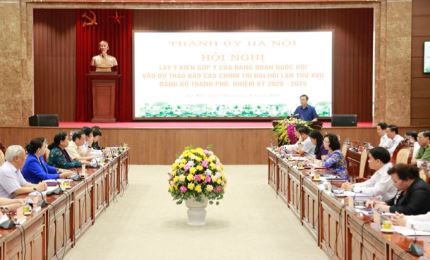 Recopilación de opiniones: comentarios sobre el contenido del borrador del Informe político del Comité del Partido de Hanoi