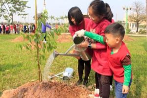 Vietnam planea plantar mil millones de árboles hasta 2025