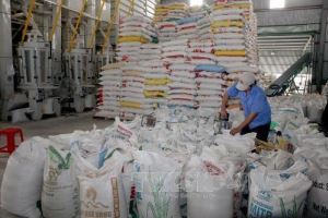 El arroz de Vietnam aumenta sus exportaciones en 2020