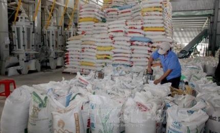 El arroz de Vietnam aumenta sus exportaciones en 2020