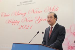 Presentan logros actualizados de Vietnam en 2020 a los medios de comunicación internacionales