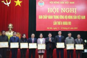Concluye la VI conferencia del Comité ejecutivo de la Asociación de Agricultores de Vietnam