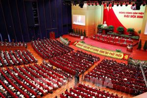 Especialistas extranjeros aplauden los éxitos de Vietnam