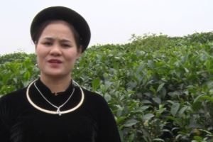 Hoang Thi Tan, miembro de la Cooperativa Tam Tra Thai