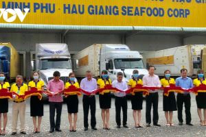Vietnam exporta el primer lote de camarones de 2021