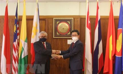 Comité de la Asean en Pretoria valora los aportes de Vietnam en calidad de presidente rotativo del bloque