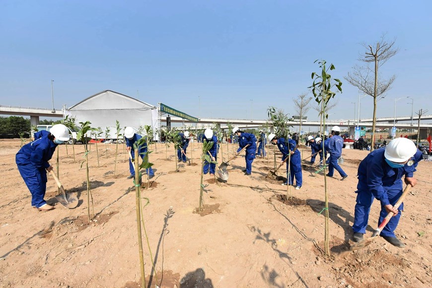 Trabajadores de la empresa Cong Vien Cay Xanh (Parques Verdes) de Hanói responden al movimiento de plantación de árboles. (Foto: VNA)