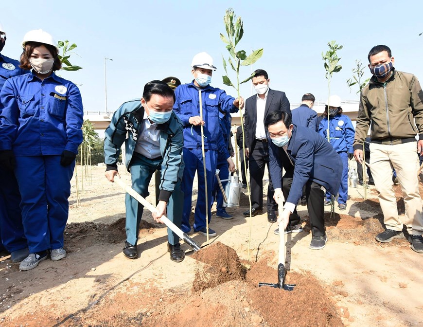 El secretario del Comité del Partido Comunista de la ciudad de Hanói, Vuong Dinh Hue (i) y el ministro de Recursos Naturales y Medio Ambiente de Vietnam, Tran Hong Ha (d), plantan árboles en acto de lanzamiento del Festival de la Siembra de Árboles en Agradecimiento Eterno al presidente Ho Chi Minh. (Foto: VNA)