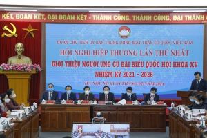 Frente de la Patria de Vietnam instruye la postulación a los candidatos de las elecciones municipales