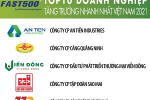 Presentada la lista de las 500 empresas con más rápido crecimiento en Vietnam