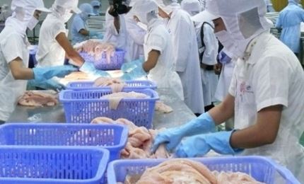 Las exportaciones acuícolas de Vietnam alcanzan más de un millón de dólares en los primeros dos meses del año