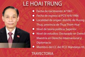 El perfil del nuevo jefe de la Comisión de Asuntos Exteriores del Comité Central del Partido Comunista de Vietnam