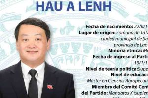 En el onceno periodo de sesiones de la Asamblea Nacional de Vietnam de la XIV legislatura, Hau A Lenh fue nombrado ministro y jefe de la Comisión de Asuntos Étnicos.