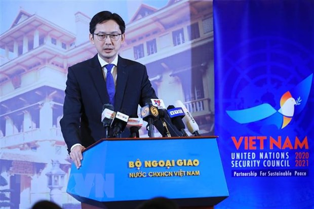 El jefe del Departamento de Organizaciones Internacionales del Ministerio de Relaciones Exteriores de Vietnam, Do Hung Viet. (Foto: VNA)
